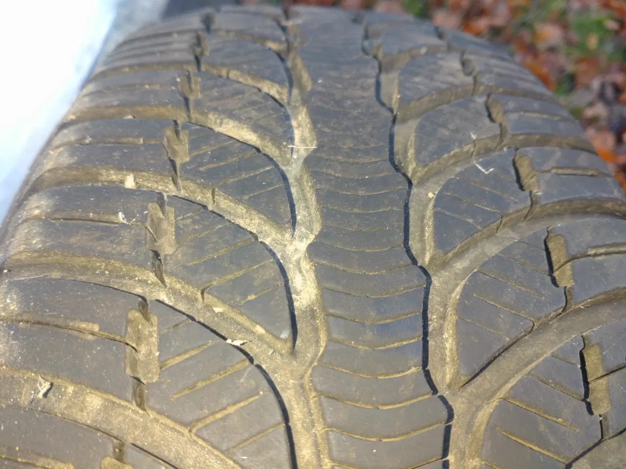 Billede 2 - Helårsdæk