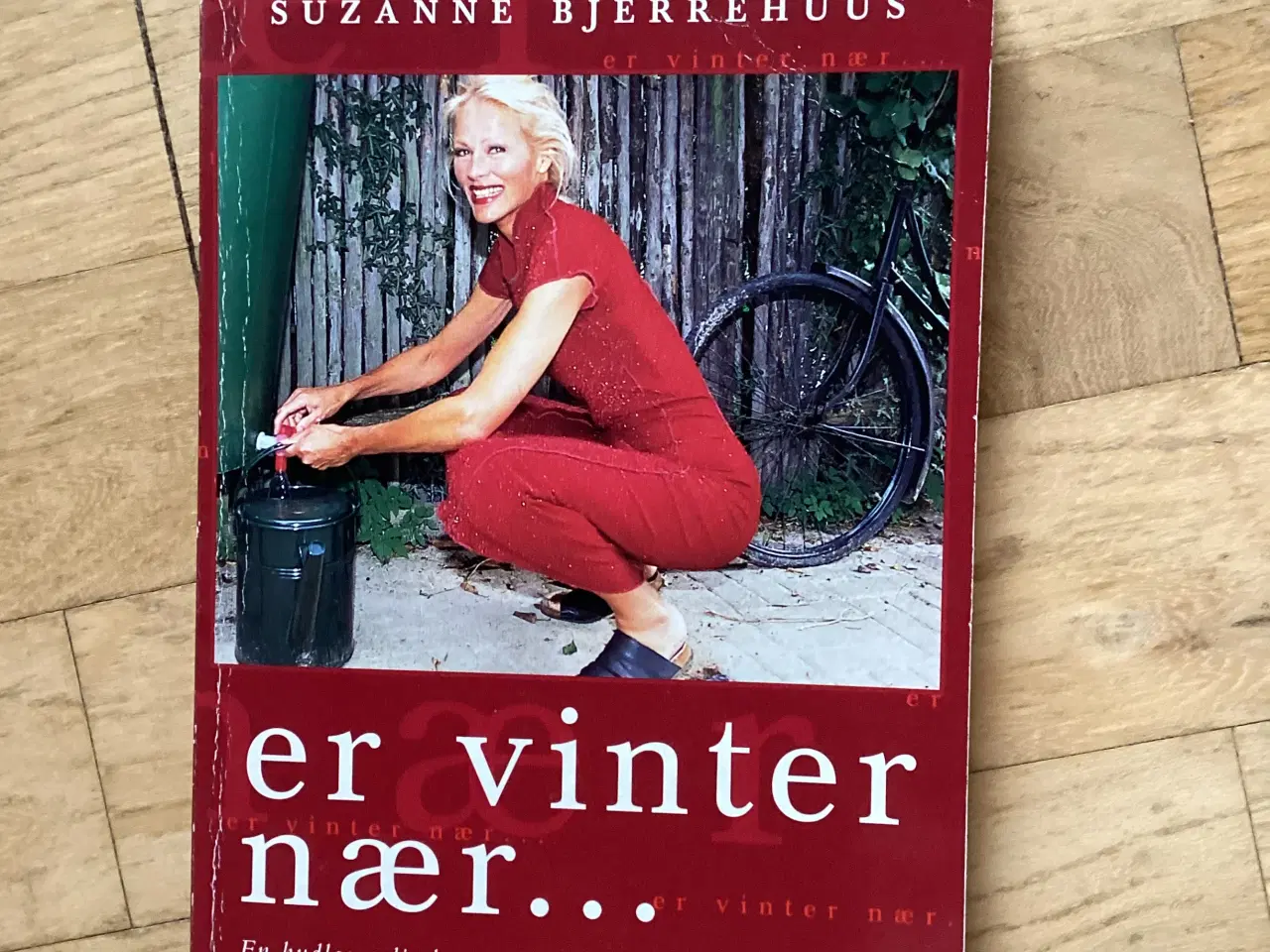 Billede 1 - Susanne Bjerrehus, Er vinter nær