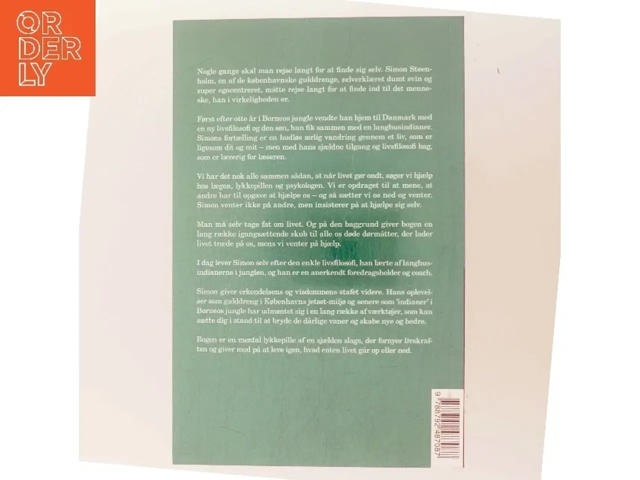 Billede 3 - Gulddrengen & indianeren af Simon Steenholm (Bog)