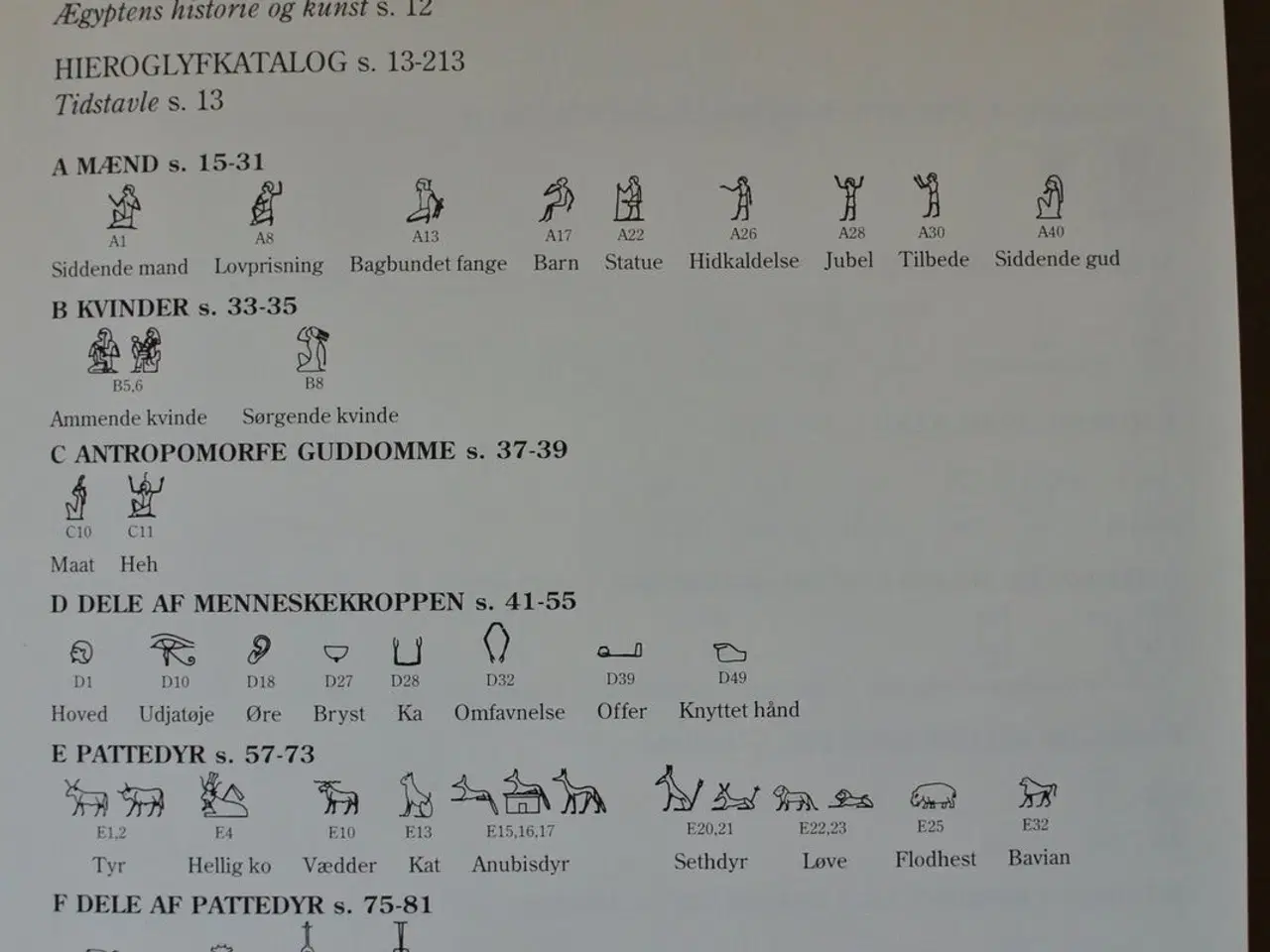 Billede 2 - hieroglyffernes verden - nøglen til ægyptisk kunst