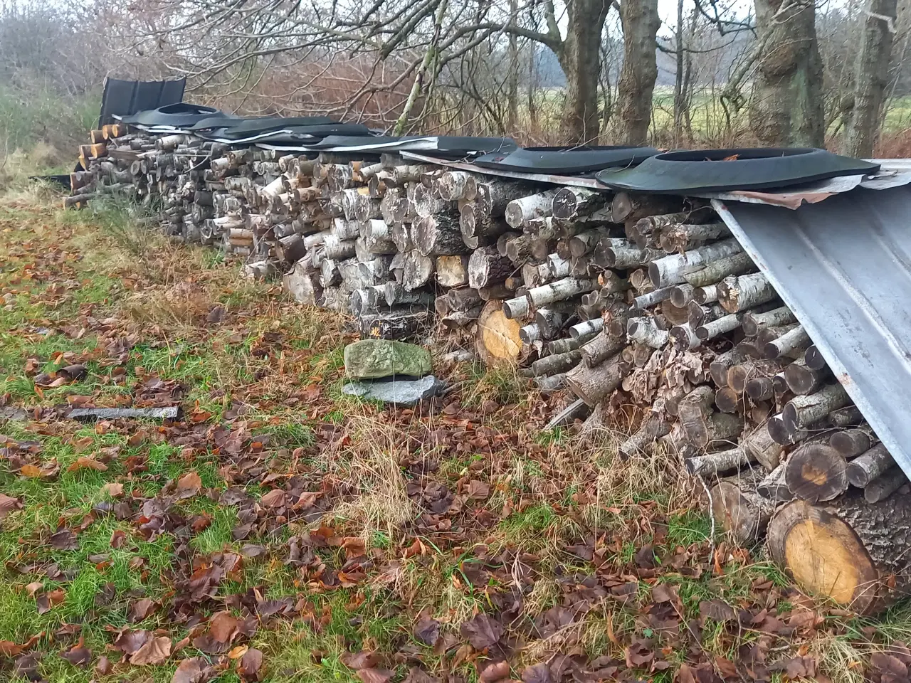 Billede 1 - Blandet brænde