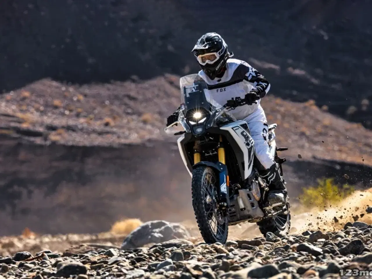 Billede 21 - Voge DS 800 Rally