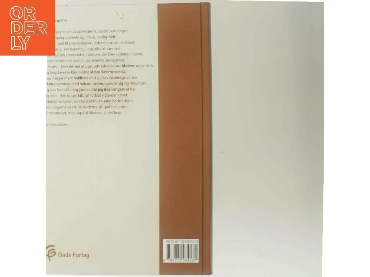 Billede 3 - Falkenstjerne - verdenslitteratur af Mogens Bjerring-Hansen (Bog)