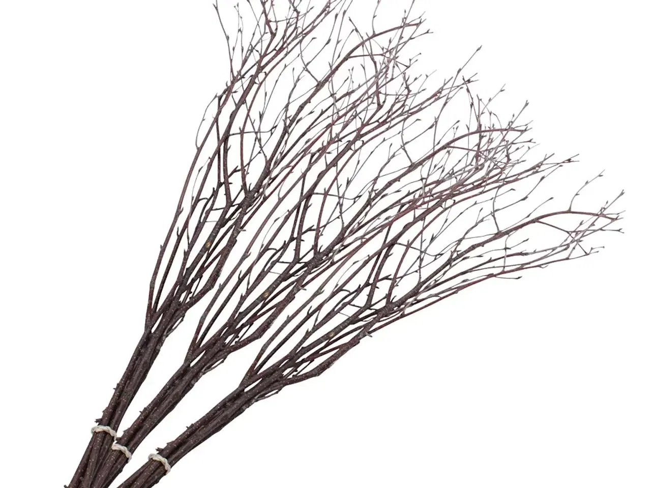 Billede 1 - Fastelavnsris, L: 50-60 cm, 20stk./ 1 pk.