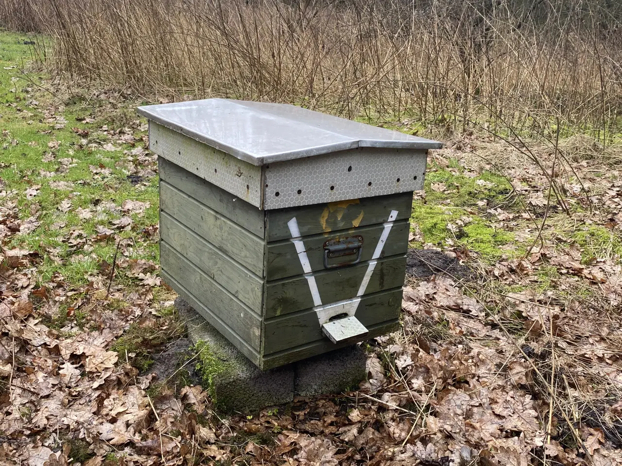 Billede 1 - 3stk Aflæggerstager 12/10