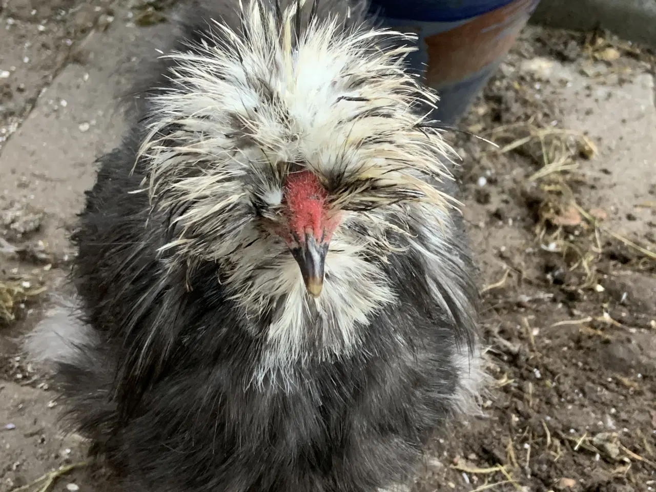 Billede 2 - Us silke