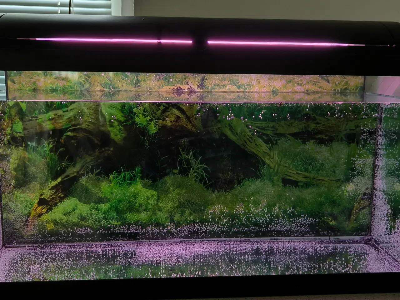 Billede 1 - 96 liters akvarie sælges 