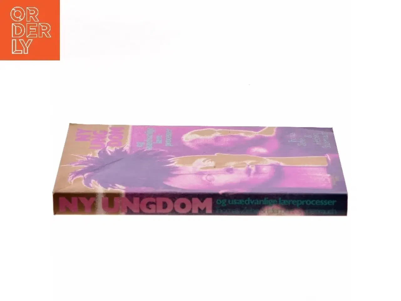 Billede 2 - Bog 'NY UNGDOM og usædvanlige lærerprocesser'