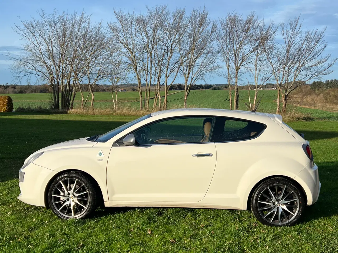 Billede 1 - Alfa Romeo MiTo 1,4 M-Air 170 Quadrifoglio Verde