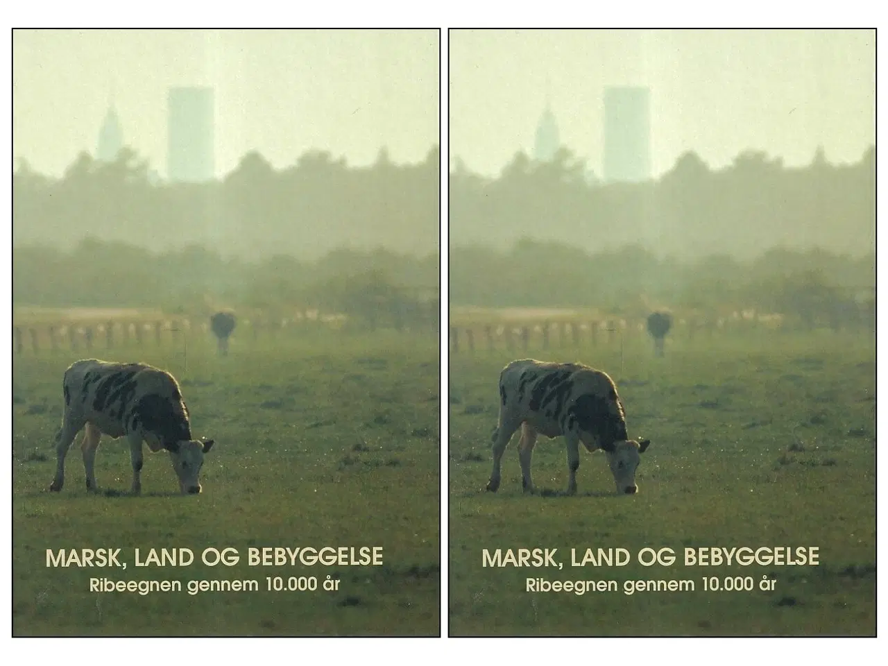Billede 1 - Marsk, land og bebyggelse