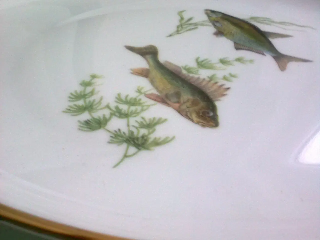 Billede 4 - Frokost fisk T2 sjov sild hygge tallerken sæt