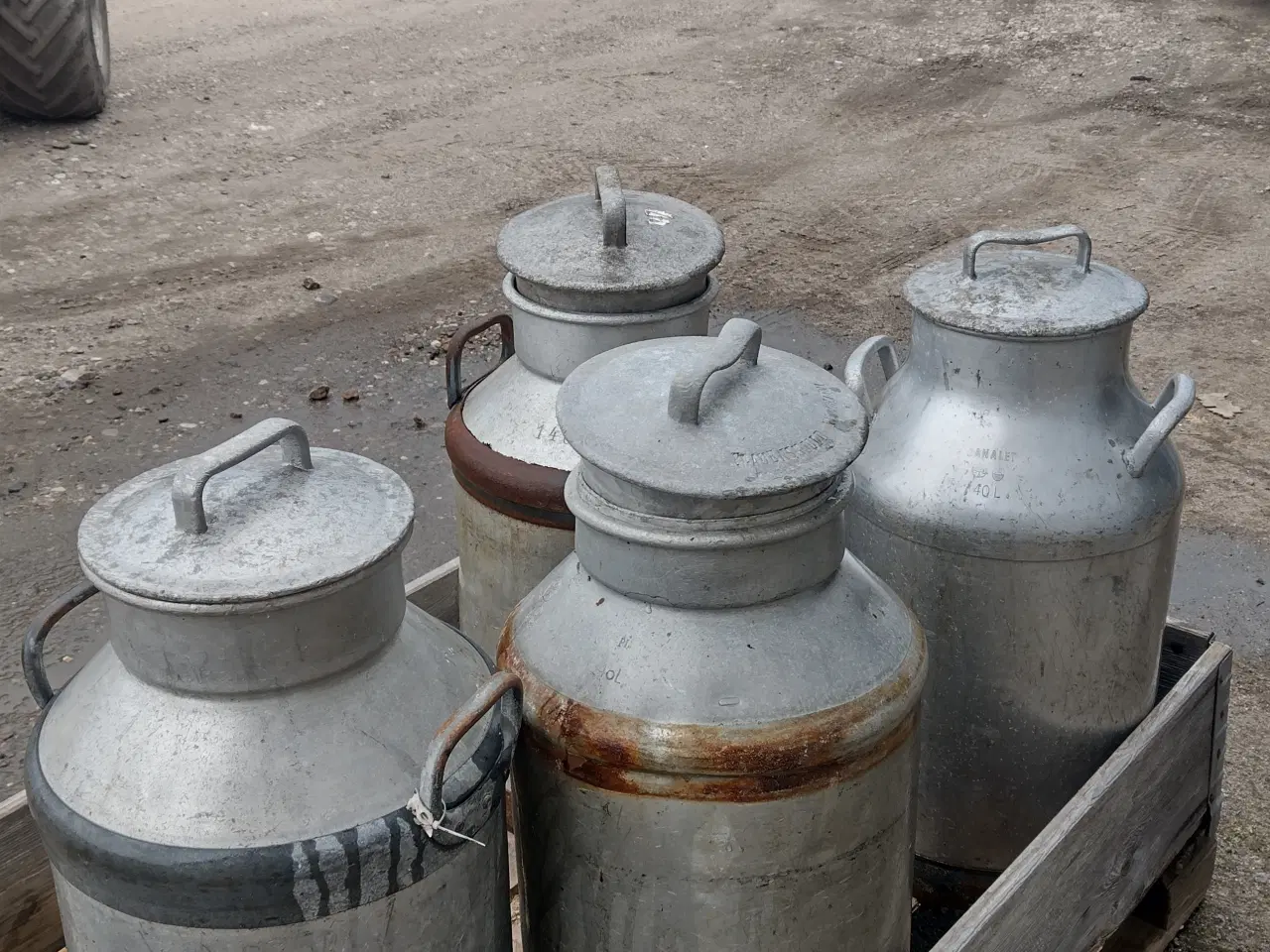 Billede 1 - Mælkejunger 