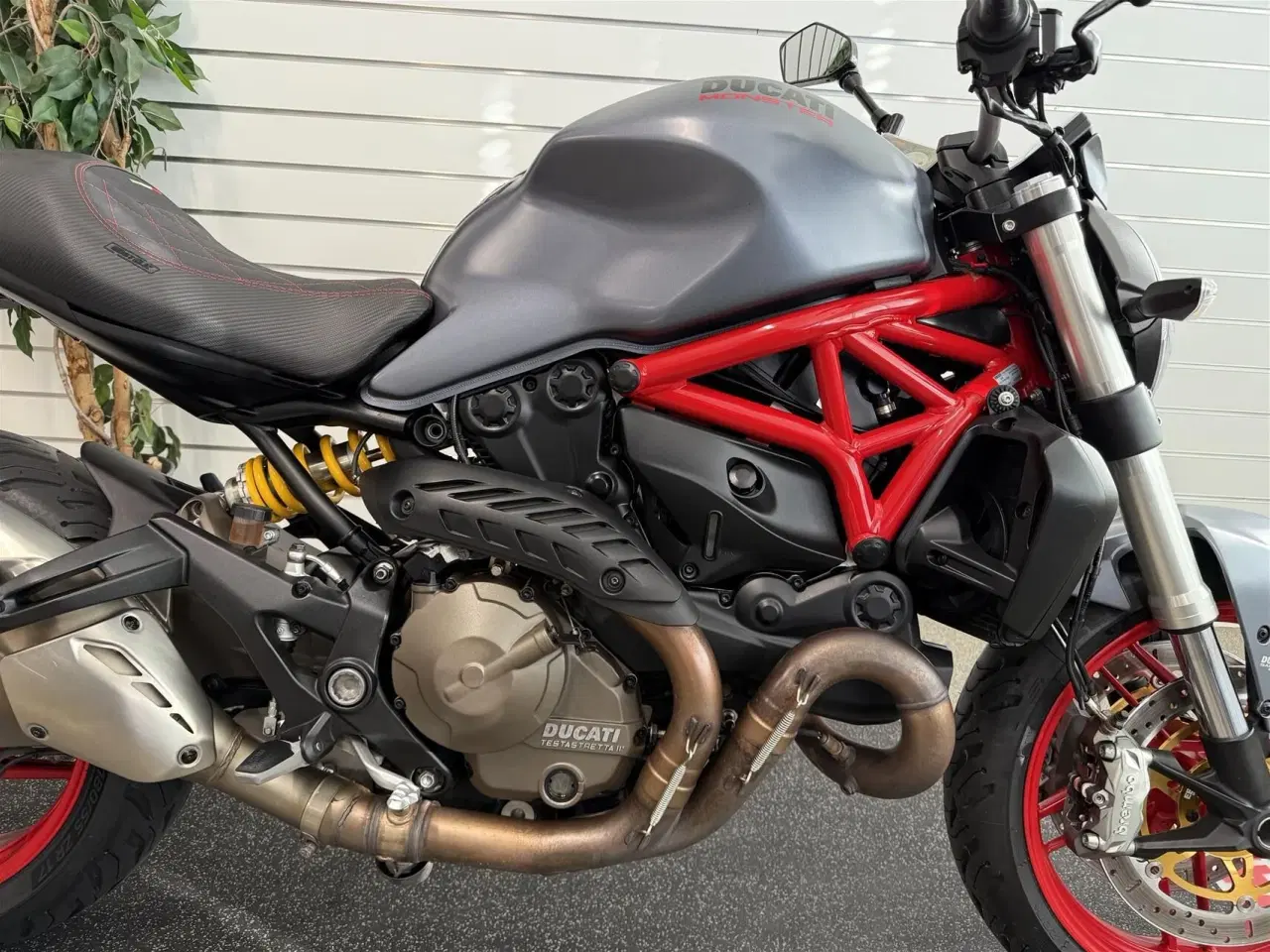Billede 4 - Ducati Monster 821