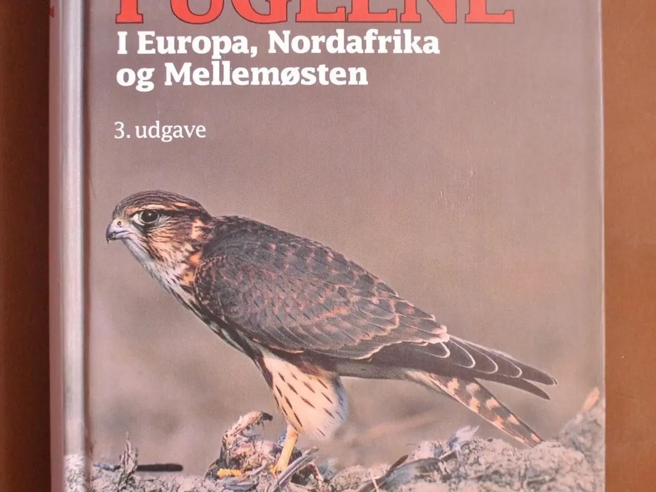 Billede 1 - rovfuglene i europa, nordafrika og mellemøsten, af