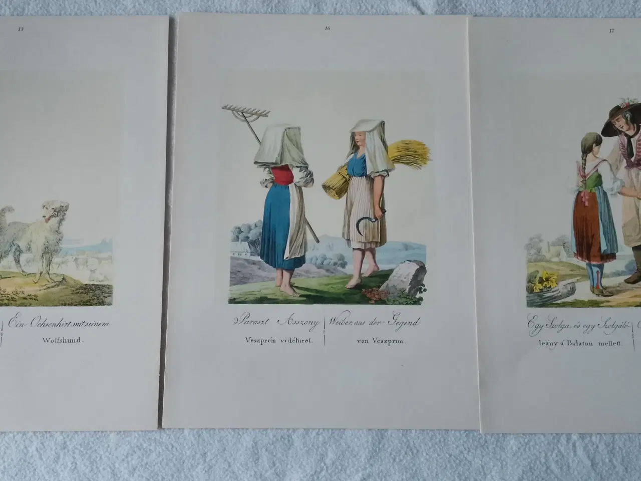 Billede 8 - Folkedragter fra Ungarn 