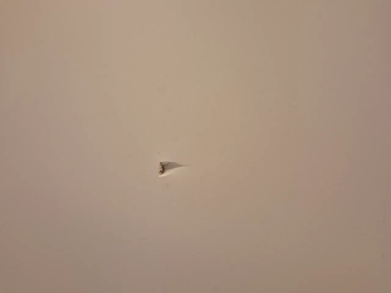 Billede 4 - Låger til IKEA Pax 50 eller 100 x 236 skabe.