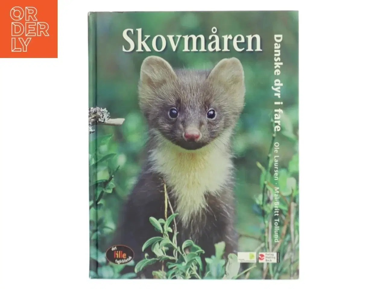 Billede 1 - Skovmåren - Danske dyr i fare fra Forlaget Malling Beck