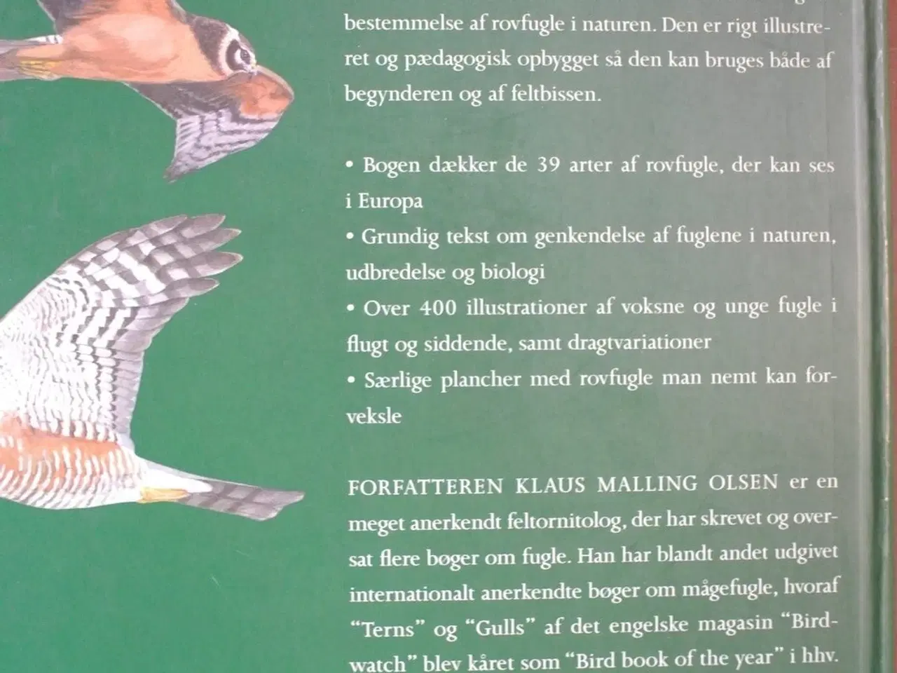 Billede 3 - rovfugle i felten, af klaus malling olsen. ill. ca