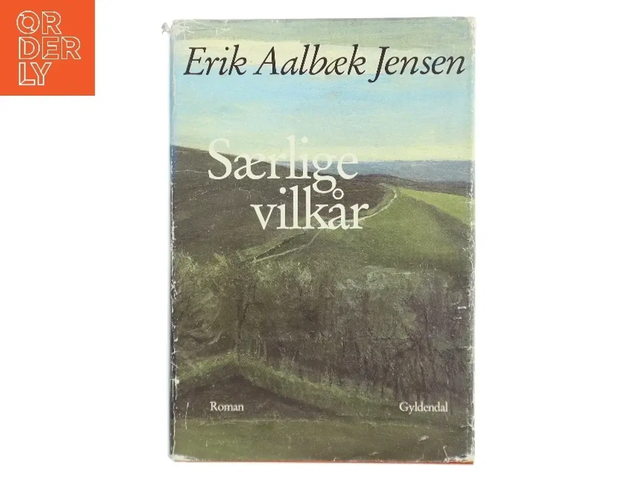 Billede 1 - Særlige vilkår : roman af Erik Aalbæk Jensen (Bog)