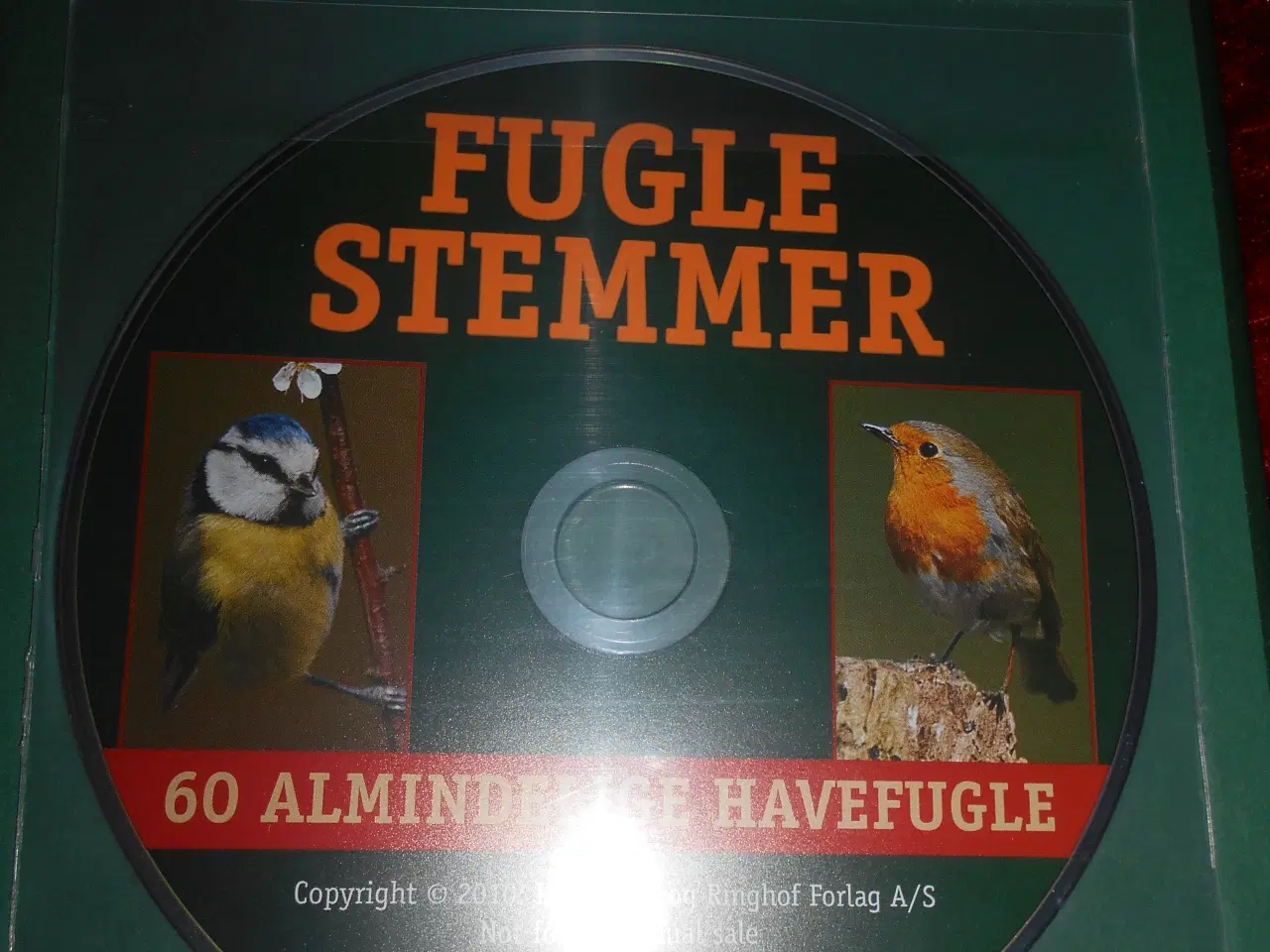 Billede 4 - Fuglestemmer i haven, Owen Roberts