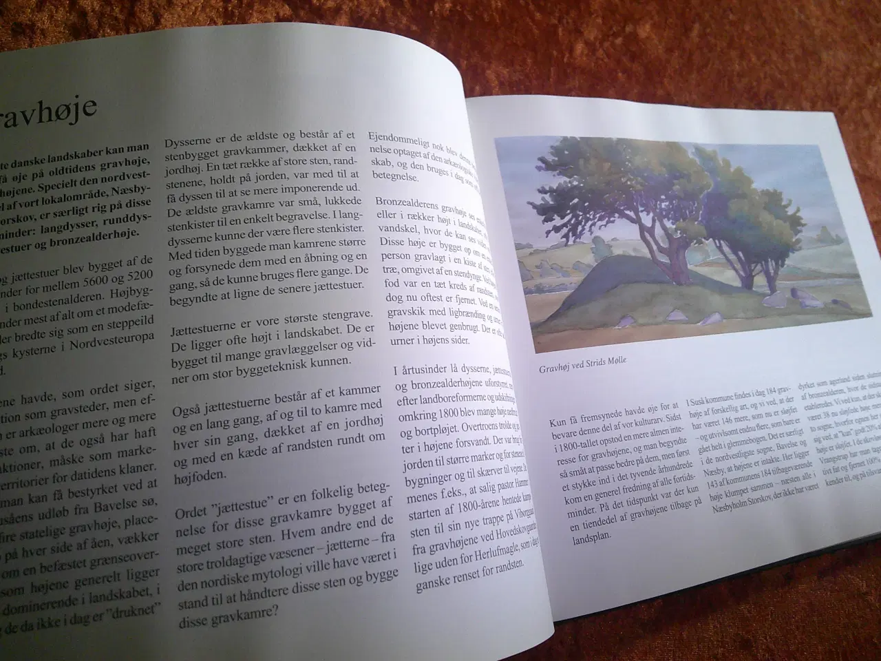 Billede 2 - Naturen i kulturen - kulturen i naturen, Rasmus Pe