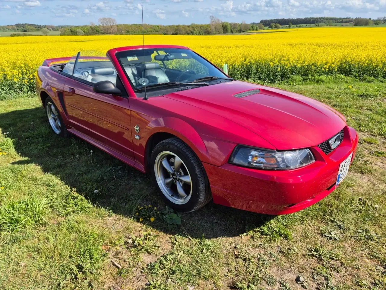 Billede 4 - Ford Mustang 4,6 Cobra SVT Cabriolet