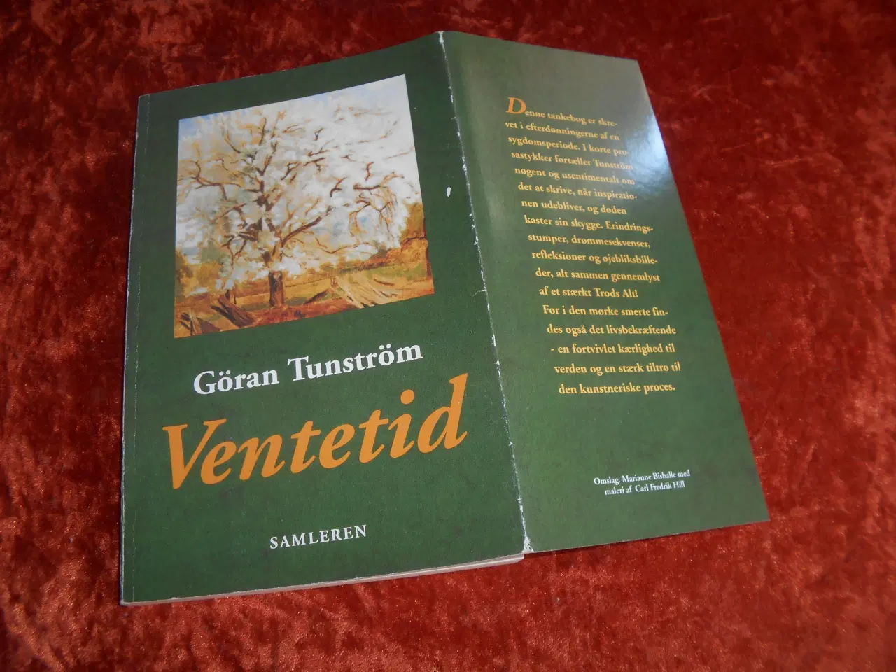 Billede 2 - Ventetid, Göran Tunström