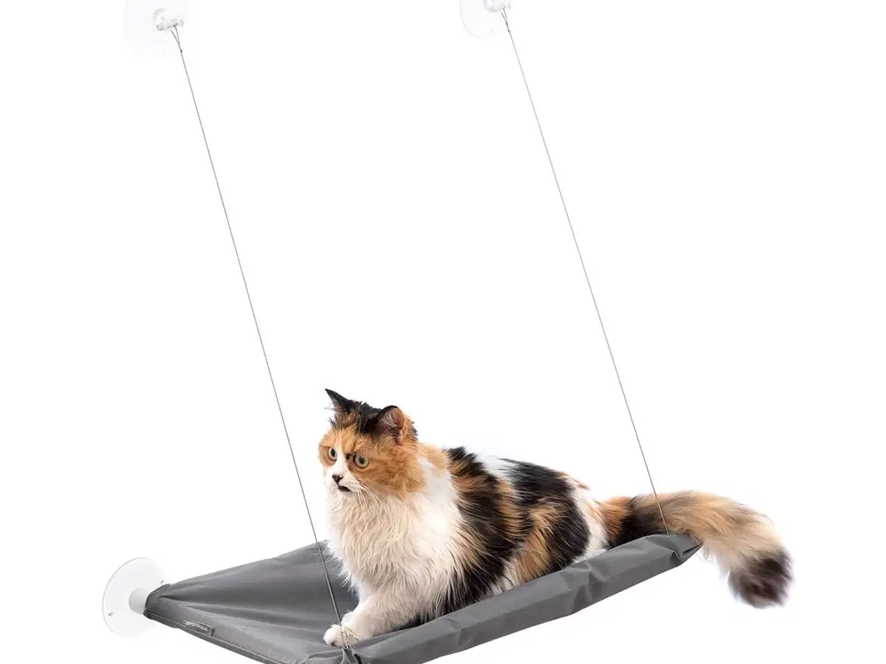 Billede 4 - Hængende kat hængekøje Catlax InnovaGoods