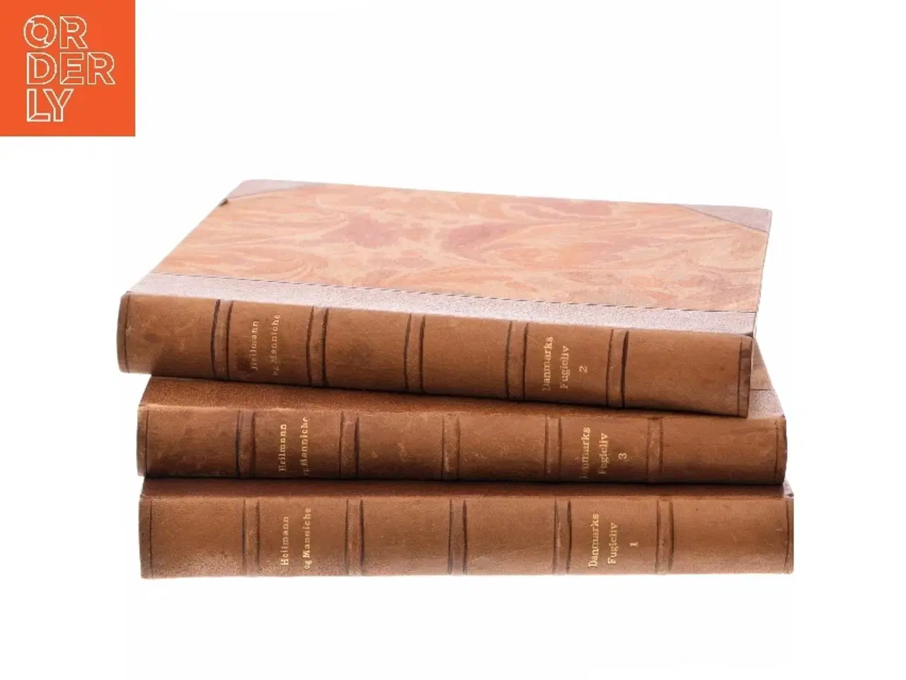 Billede 2 - Danmarks Fugleliv af &lt;Hetmann og Manniche< (Bog)