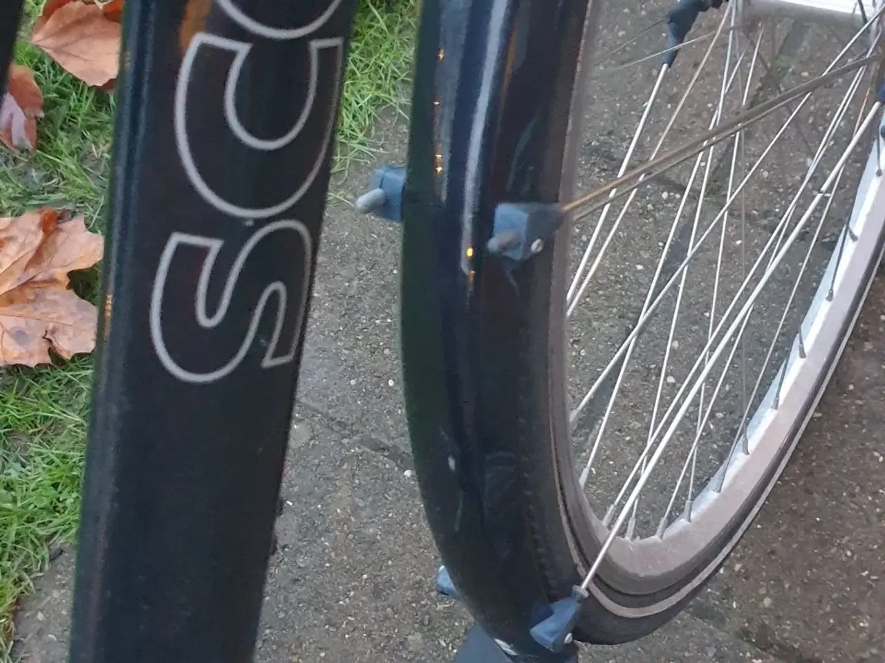 Billede 18 - SCO damecykel med kurv, 7 gear, stelstr. 52 cm