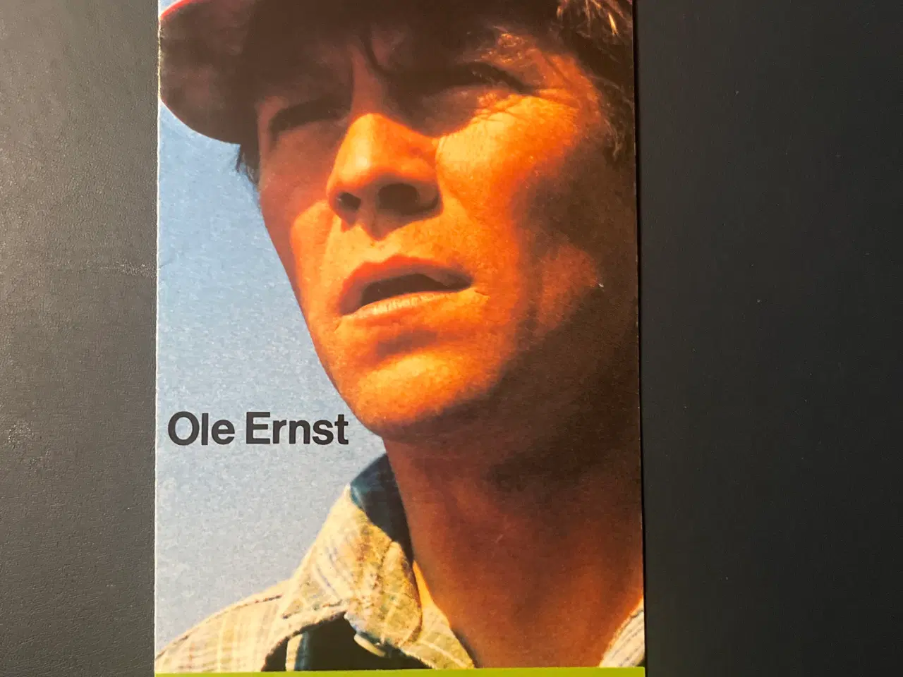 Billede 1 - Der er et yndigtland