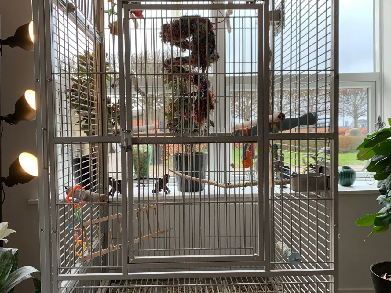 Billede 2 - Dobbelt papegøjebur