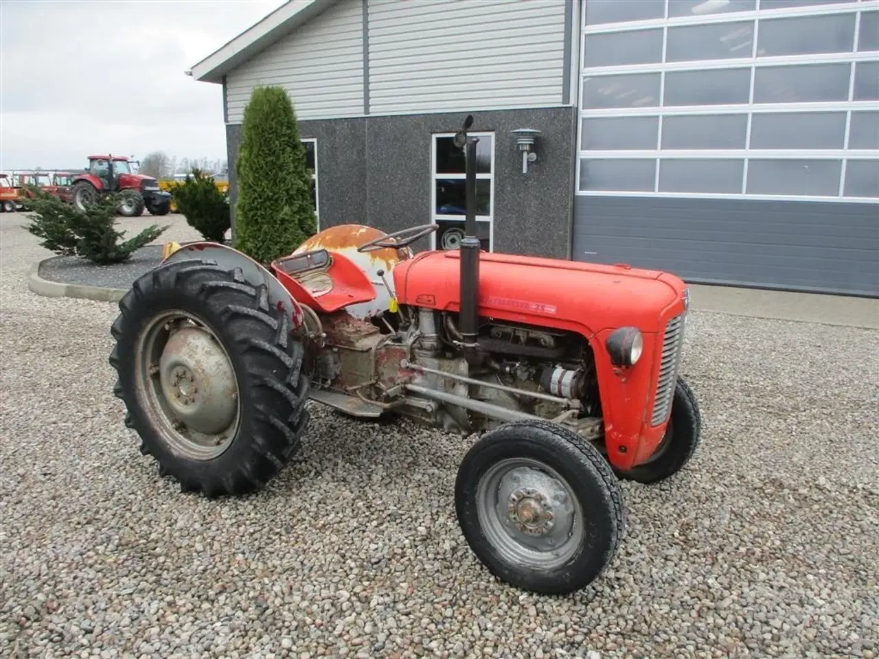 Billede 14 - Massey Ferguson 35 benzin Kører godt