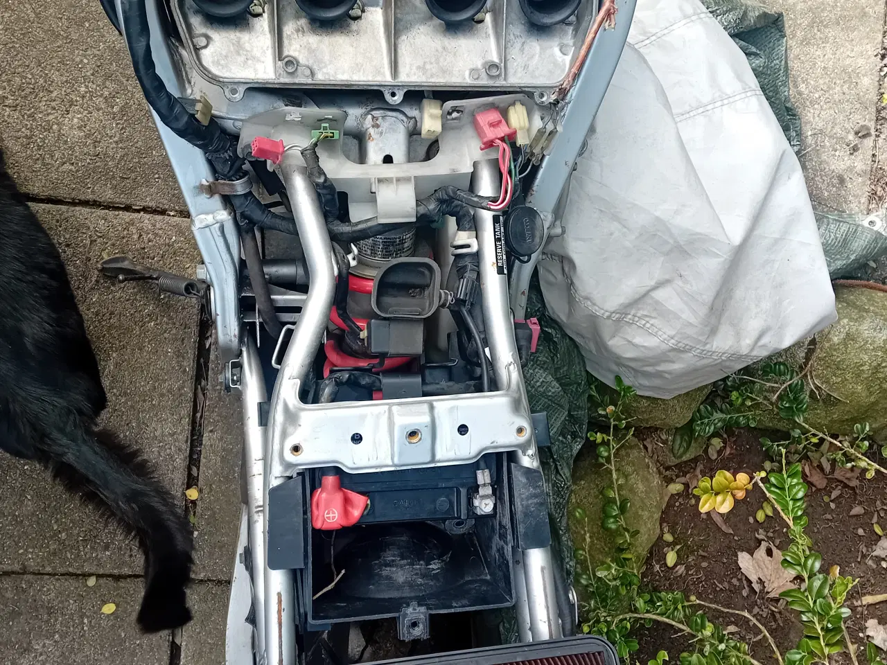 Billede 3 - Honda cbr600 pc19