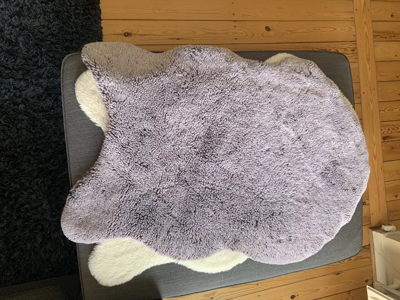 Billede 3 - 3 flotte lammeskind sælges – for kun 200 kr.