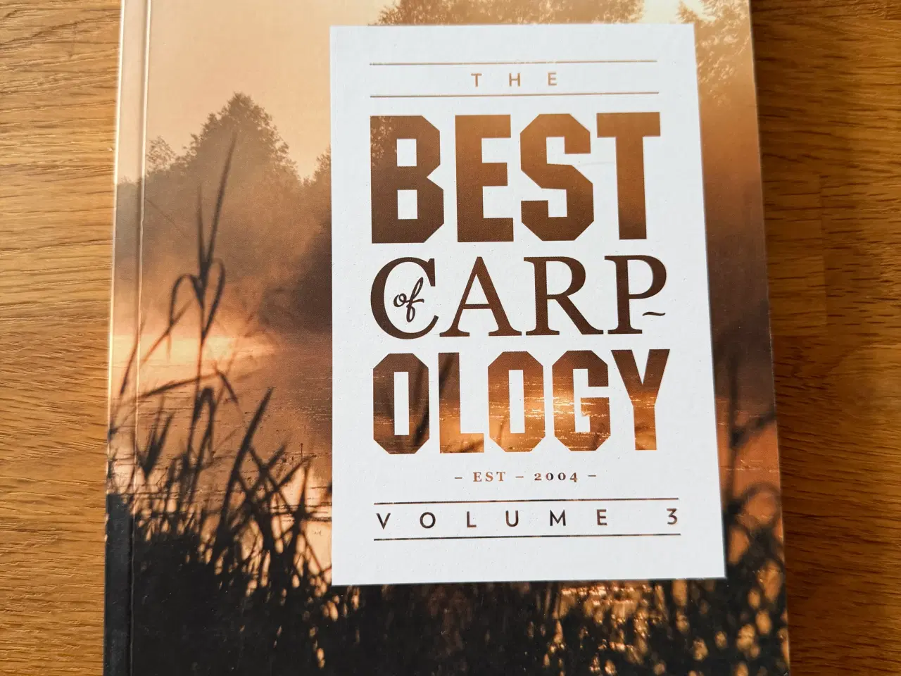 Billede 6 - Karpe bøger 📕📚