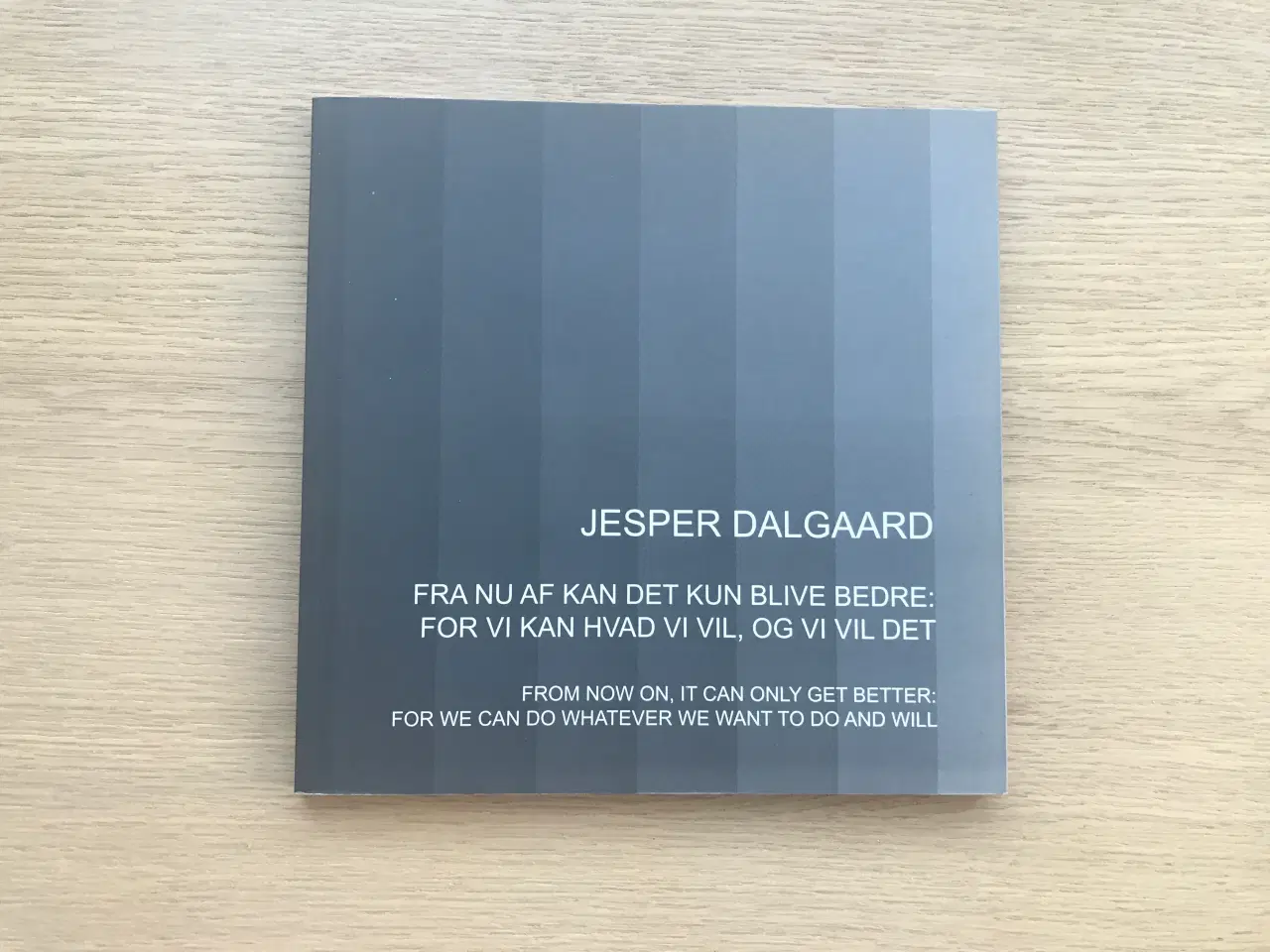 Billede 1 - Jesper Dalgaard  -  Kunsthal Nord