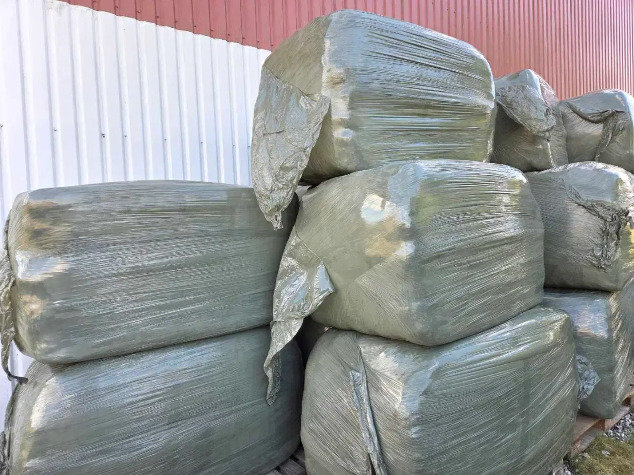 Billede 5 - Wrap til heste, køer og får