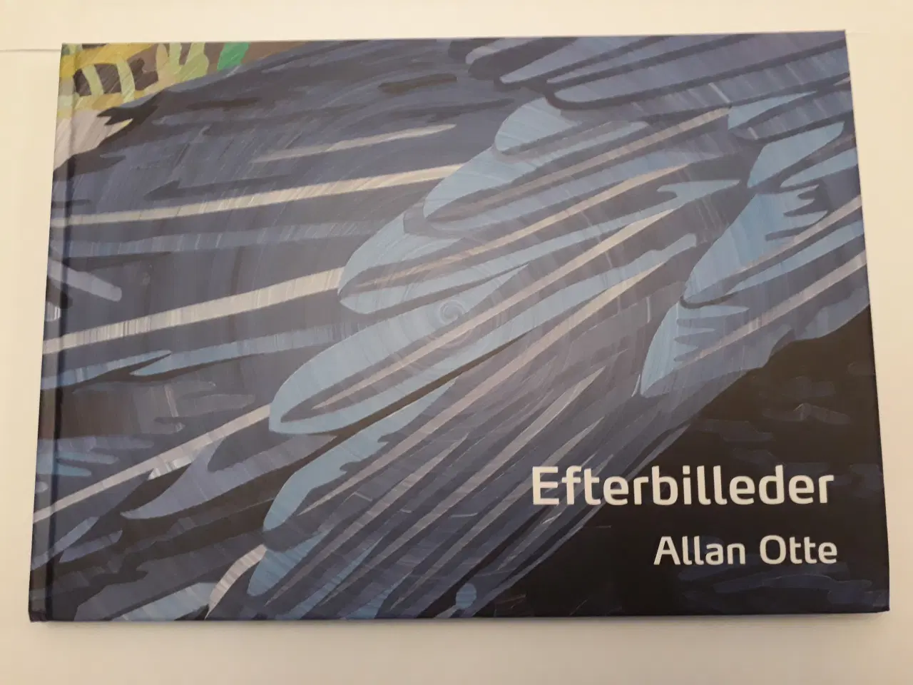 Billede 6 - Allan Otte, 2 Kunstbøger