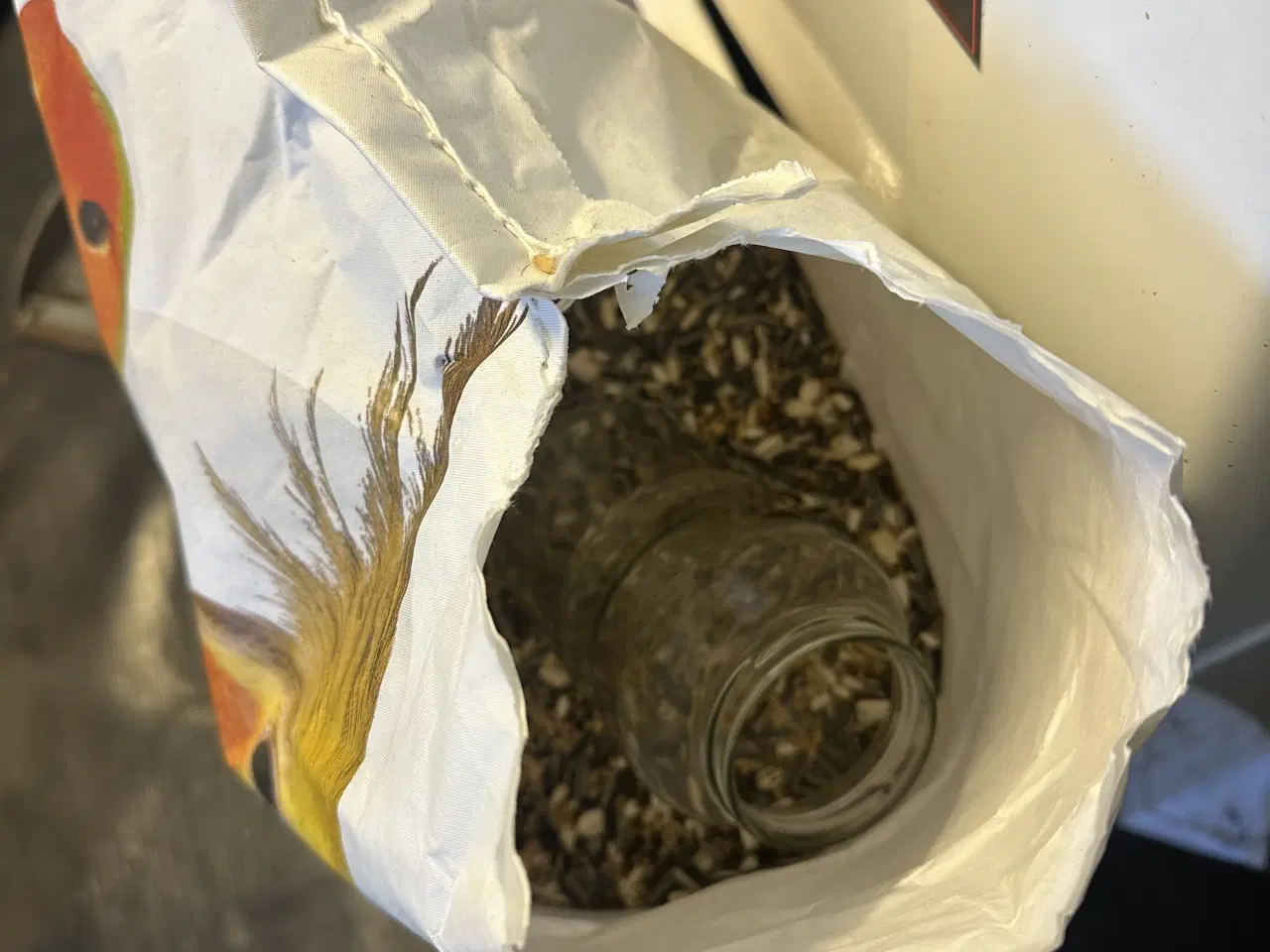 Billede 1 - Sælger mine fugle