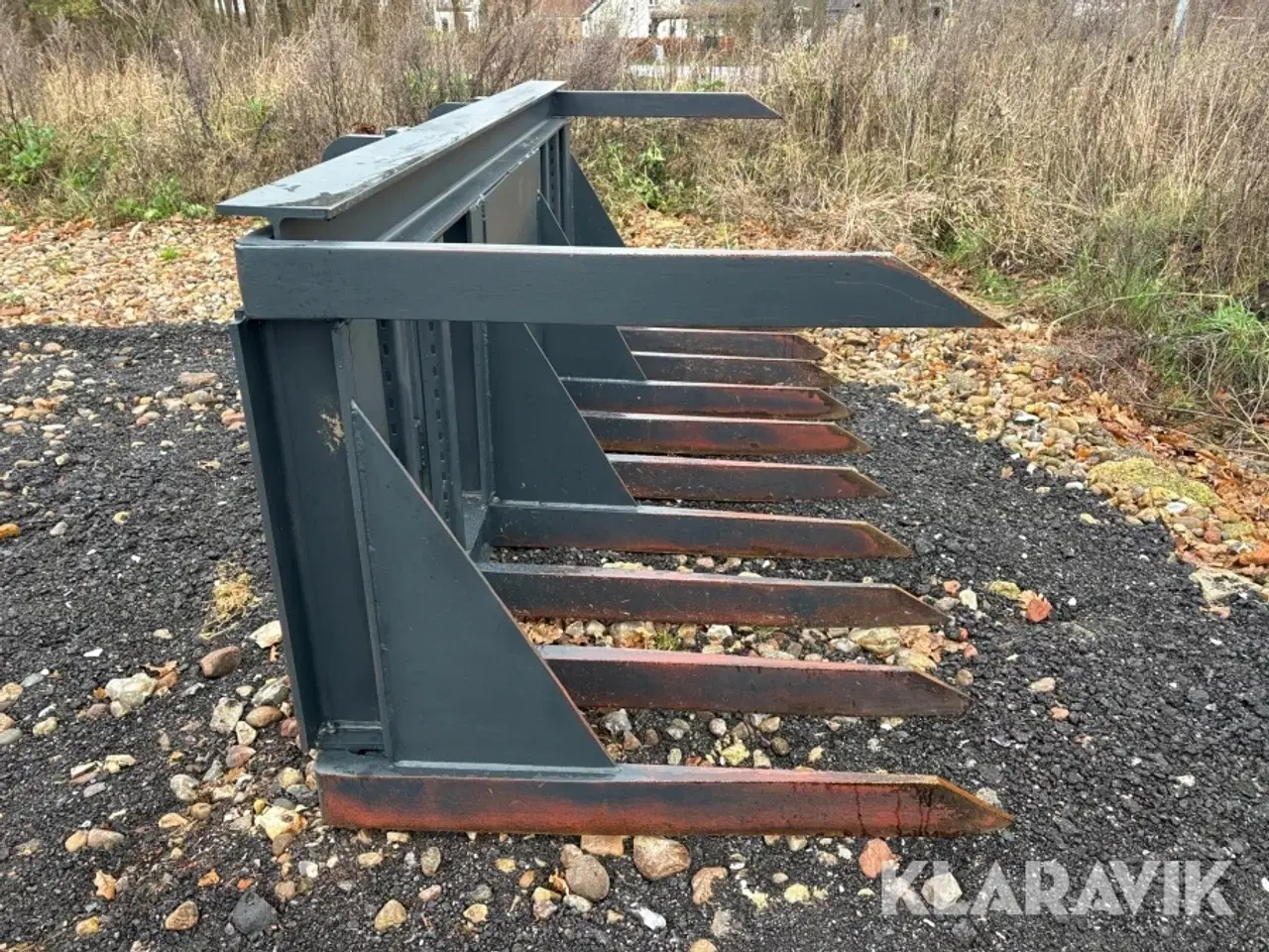 Billede 3 - Græsgrev