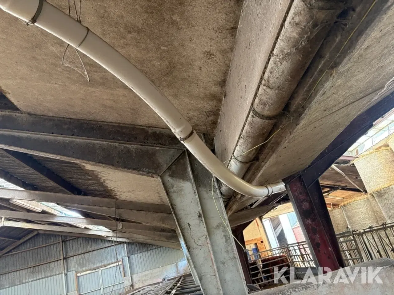 Billede 6 - Fodersnegl