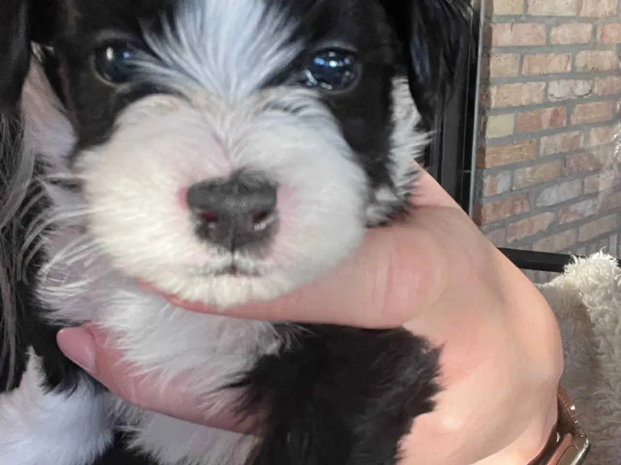 Billede 1 - Klar den 25 december