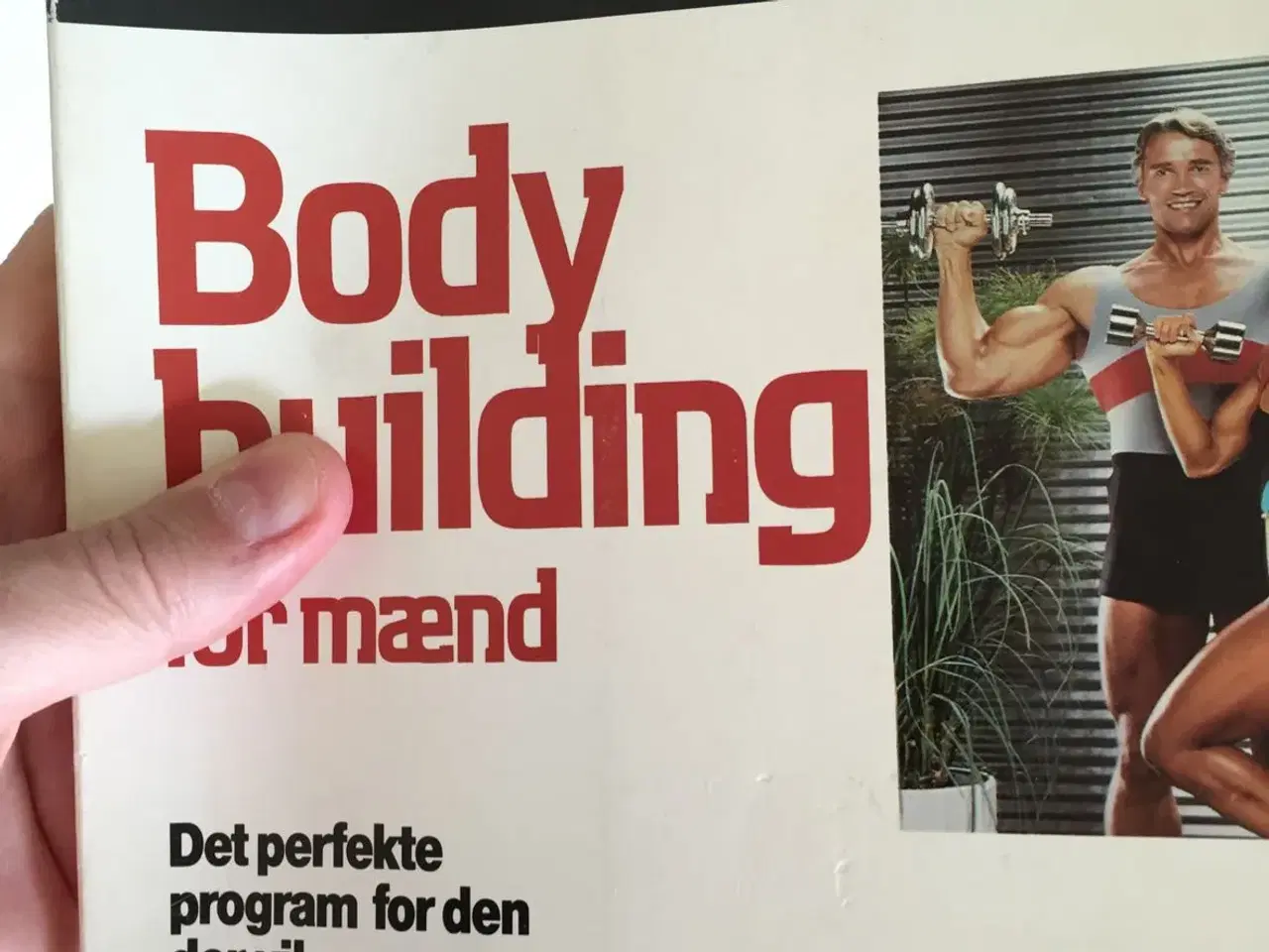 Billede 1 - Bodybuilding for mænd af Arnold Schwarz.