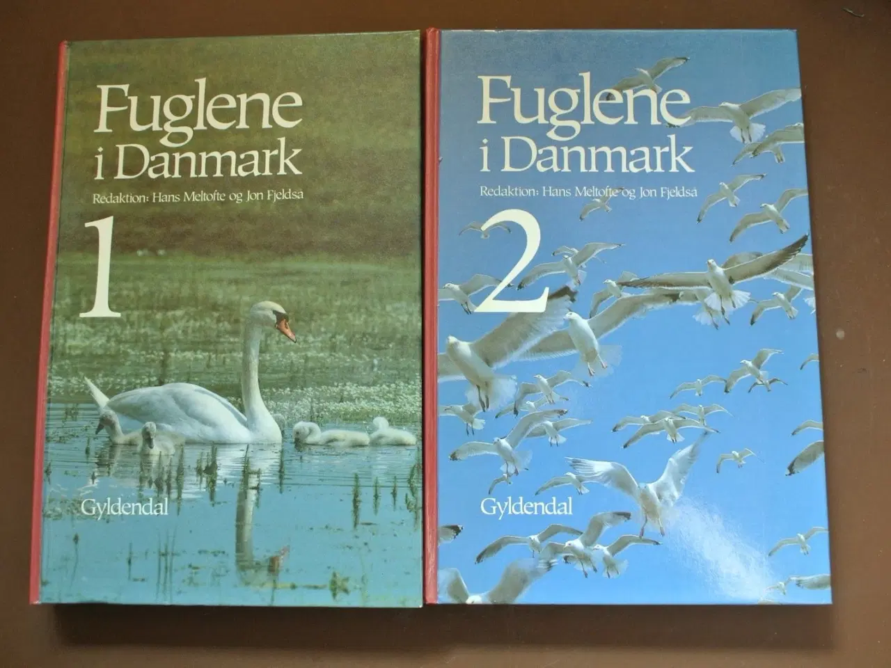 Billede 1 - fuglene i danmark 1-2, red. af hans meltofte og jo