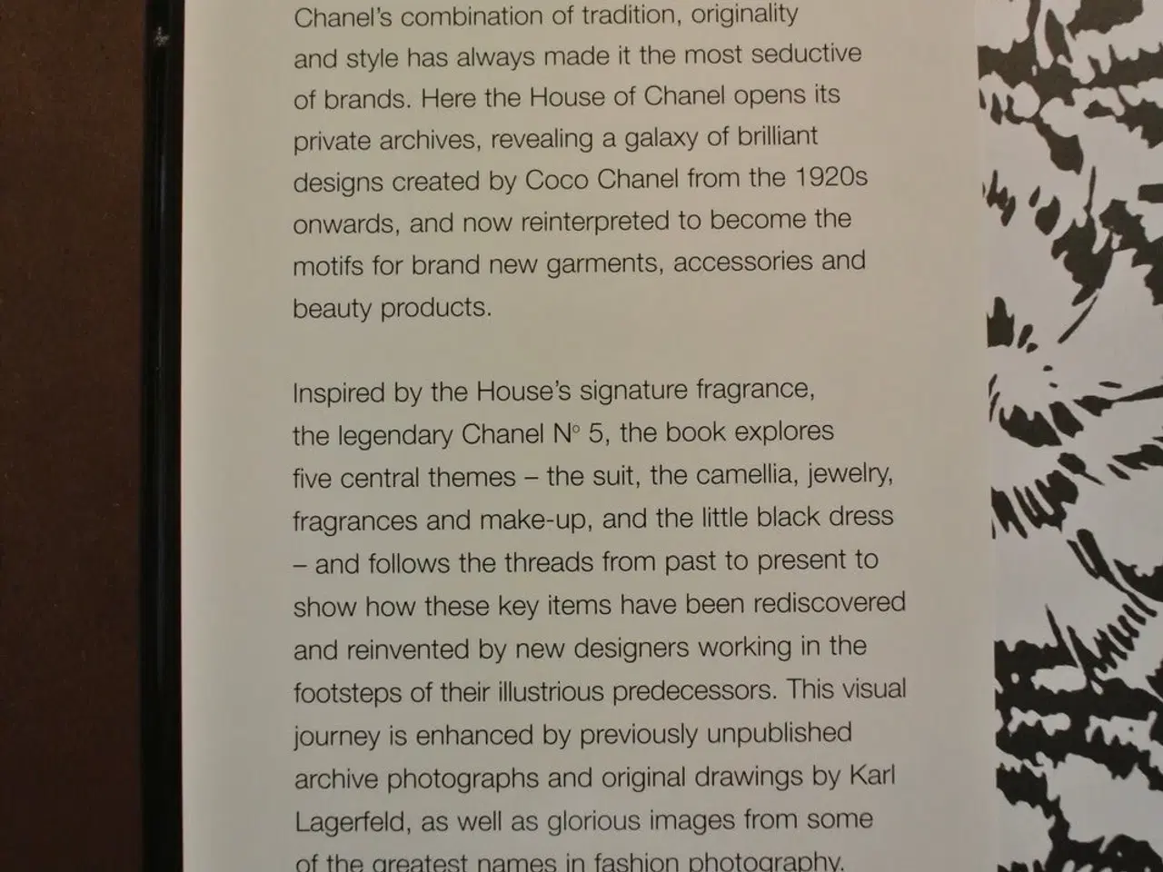 Billede 3 - chanel collections and creations, , by daniele bot