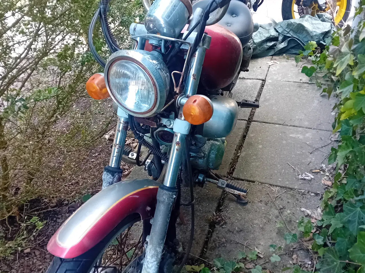 Billede 1 - Ledow Borelli