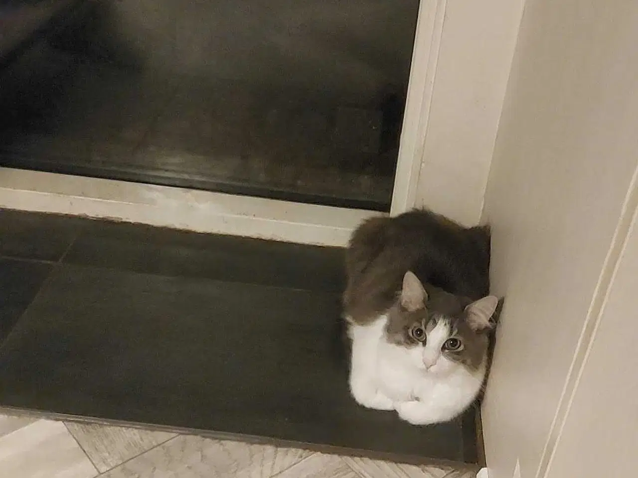 Billede 7 - Hej jeg hedder lusifer 