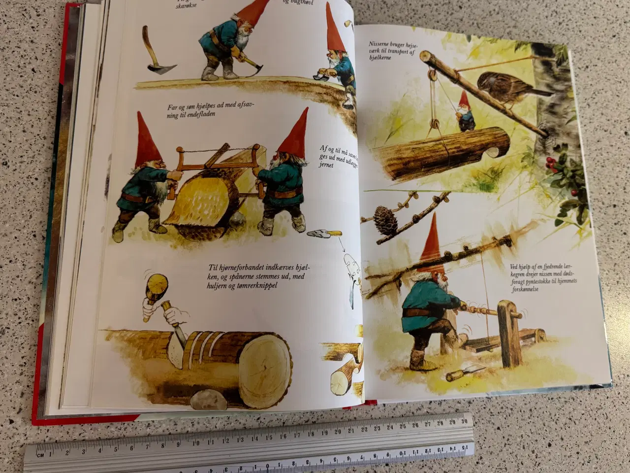 Billede 4 - NISSERNES hemmelige bog