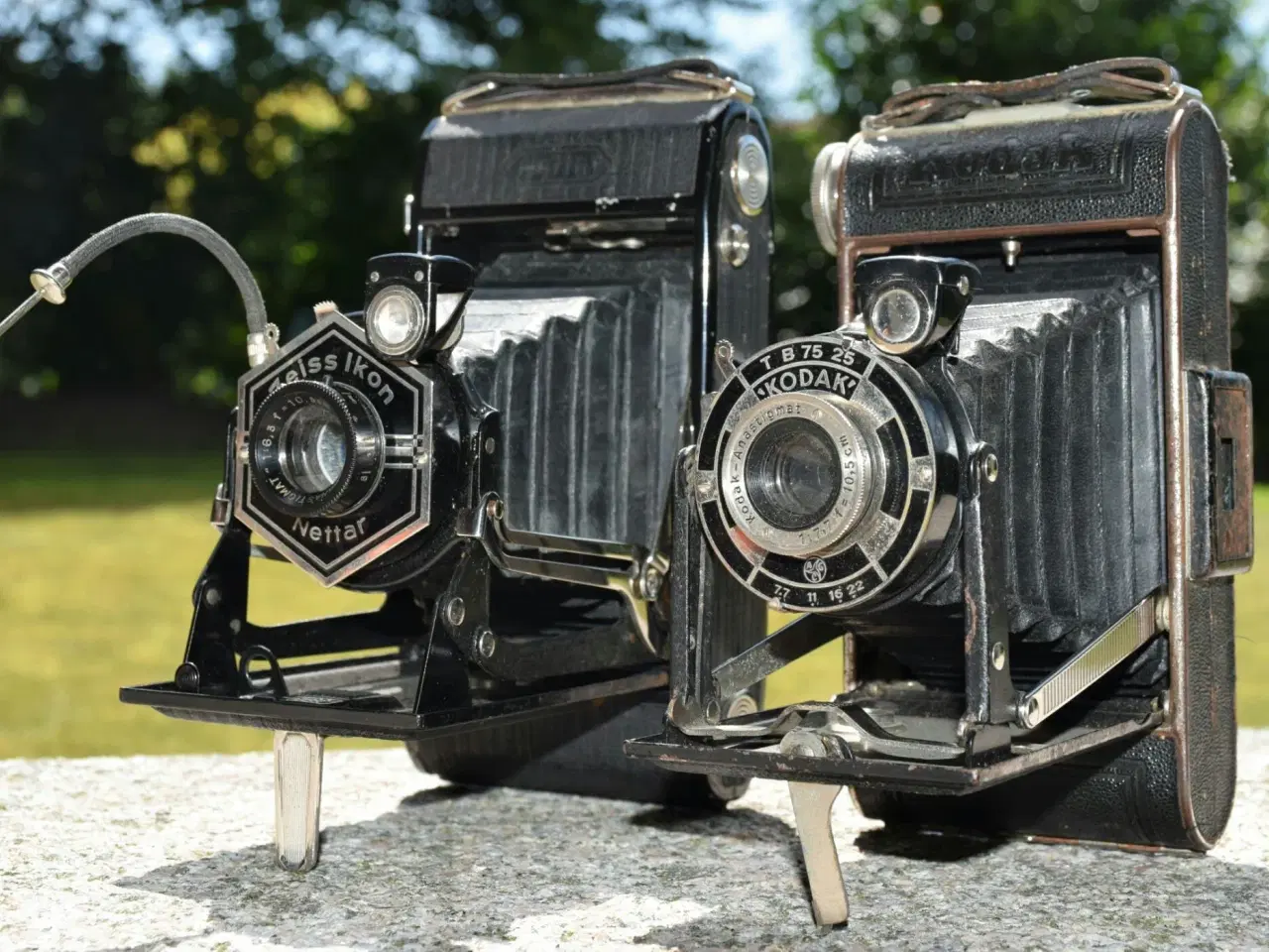 Billede 1 - Zeiss Ikon og Kodak bælgkameraer